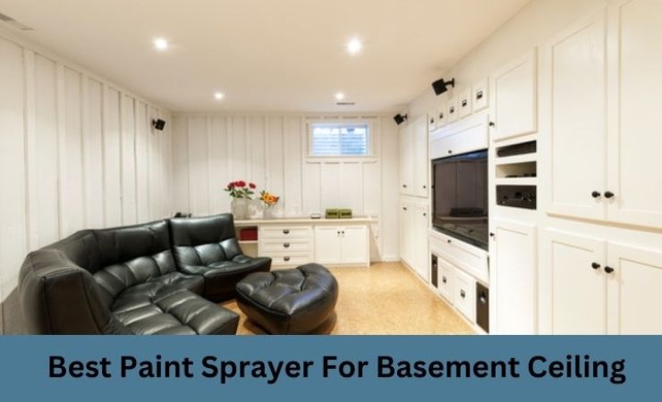 The 6 Best Paint Sprayer for Basement Ceiling in 2025