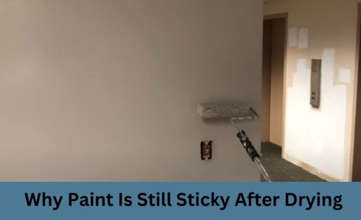 Why Paint is Still Sticky After Drying: Science of Drying Paint