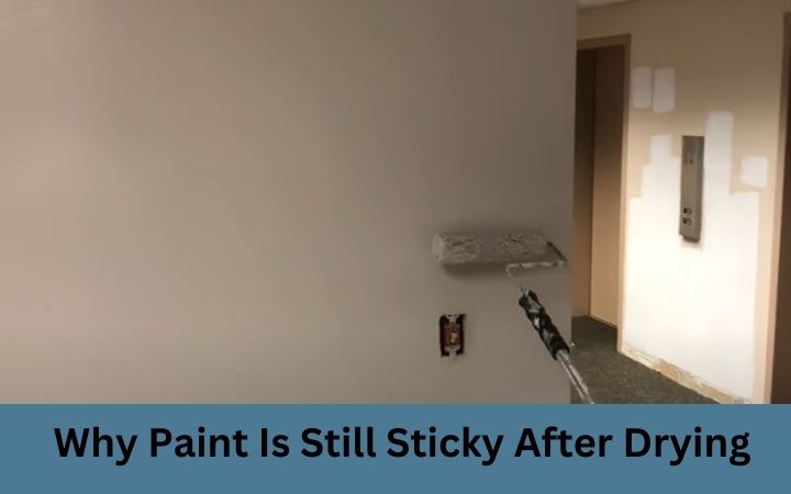 Why Paint Is Still Sticky After Drying