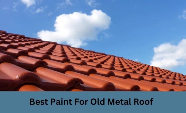 Best Paint for Old Metal Roof In 2025