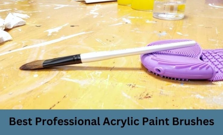 Best Professional Acrylic Paint Brushes of 2025 [Reviews With Guide]
