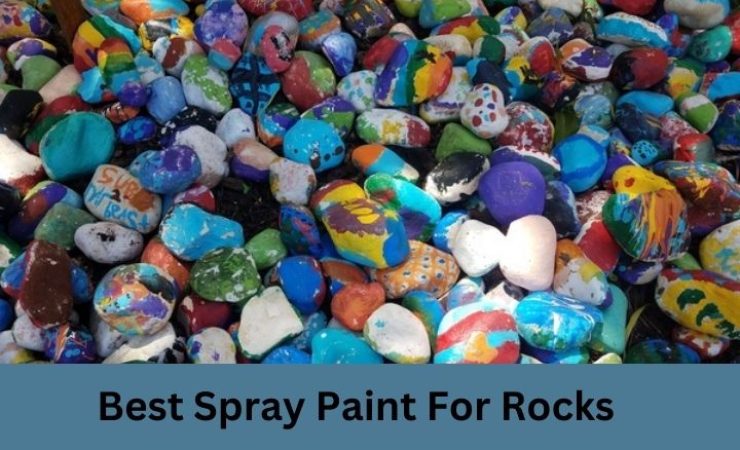 Best Spray Paint for Rocks [Reviews+Guide]