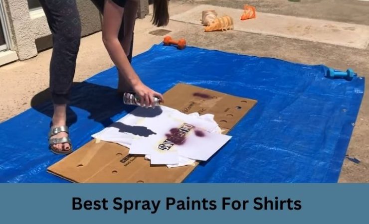 Best Spray Paints for Shirts [Reviews With Guide]