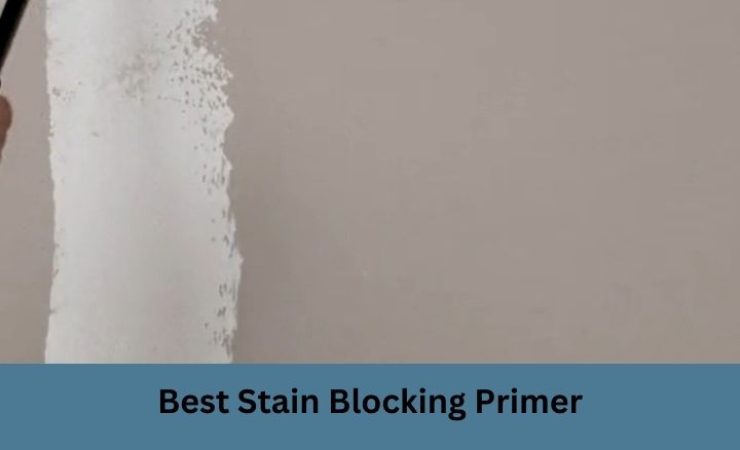 Best Stain Blocking Primer [Updated 2025]