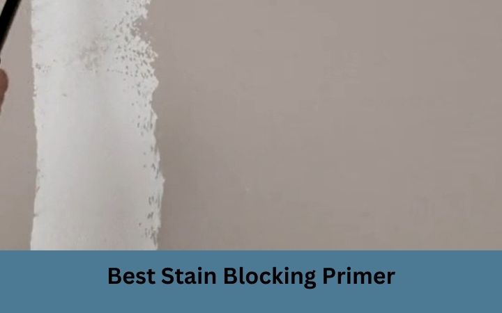 Best Stain Blocking Primer