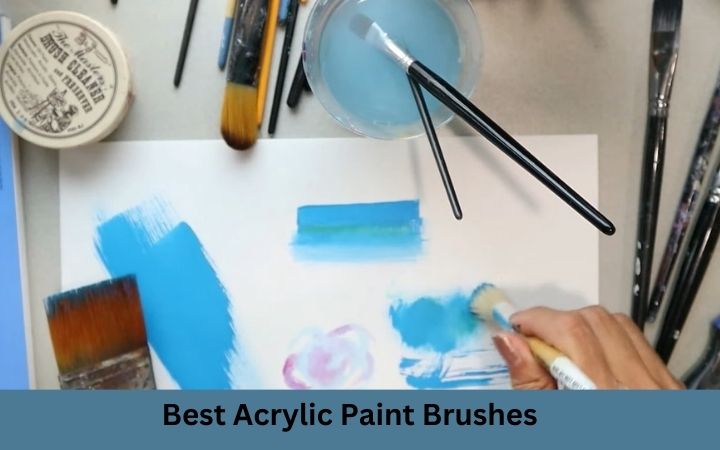 Best Acrylic Paint Brushes