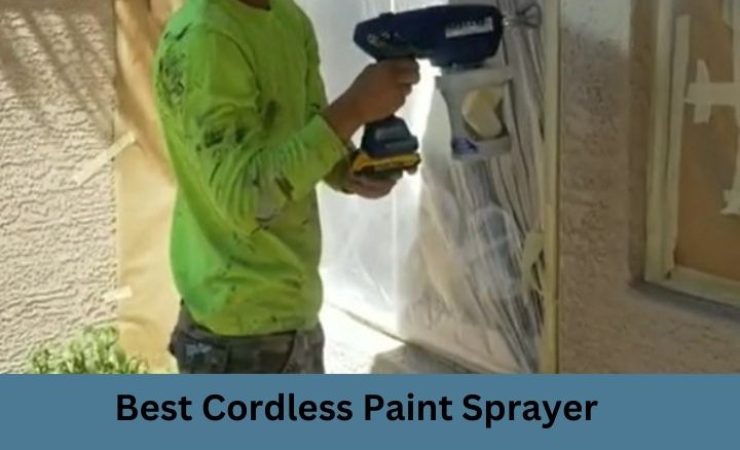 Best Cordless Paint Sprayer 2025