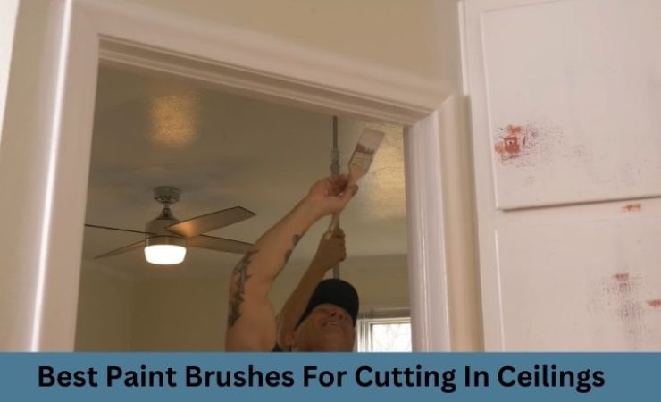 Best Paint Brushes for Cutting in Ceilings 2025