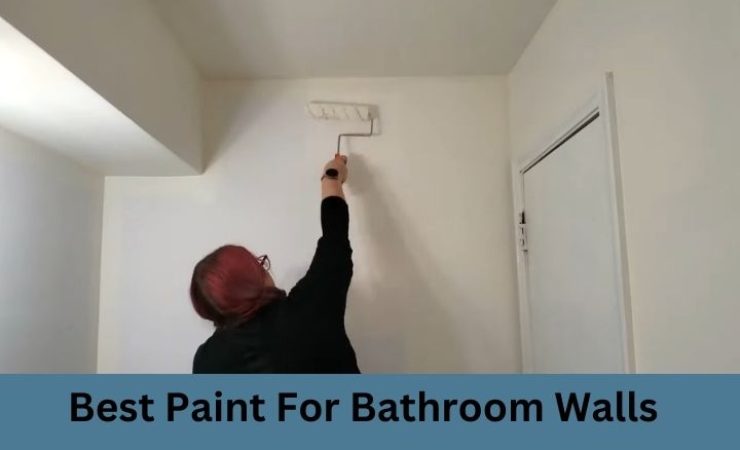 Best Paint for Bathroom Walls [Reviews 2025]