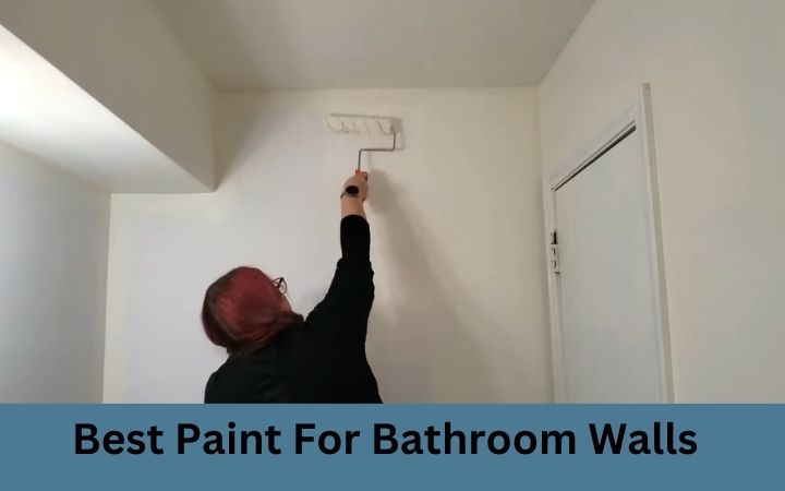 Best Paint For Bathroom Walls