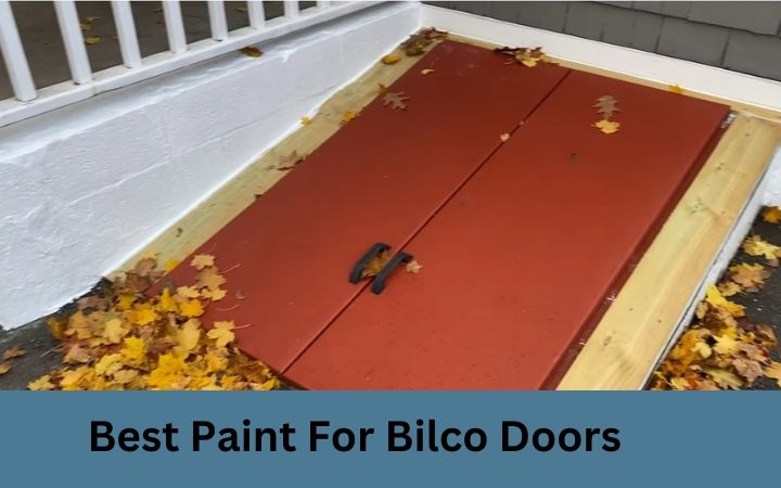 Best Paint For Bilco Doors