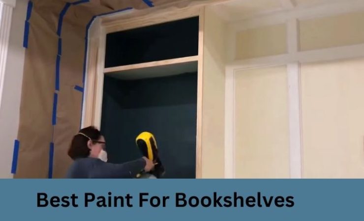 Best Paint for Bookshelves In 2025