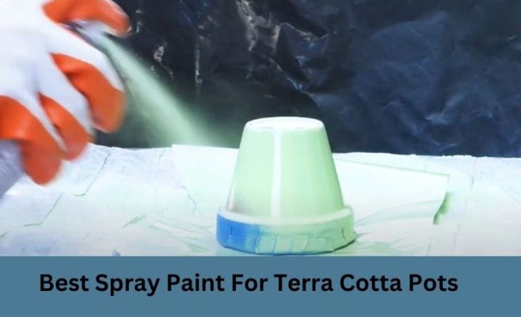 Best Spray Paint for Terra Cotta Pots 2025