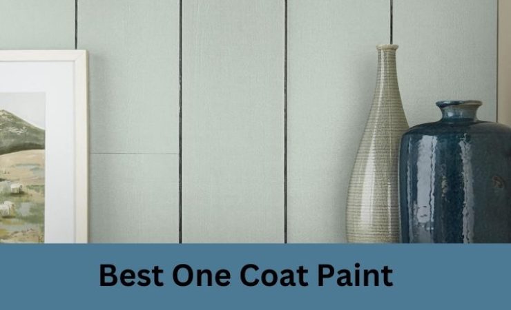 Best One Coat Paint In 2025