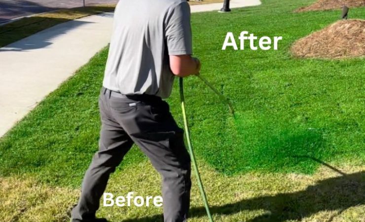 What is Grass Paint? How to Paint Your Lawn Guide