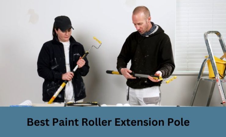 10 Best Paint Roller Extension Pole In 2025
