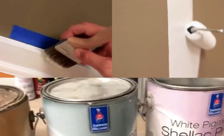 Difference Between Sealer Undercoat and Primer Explained