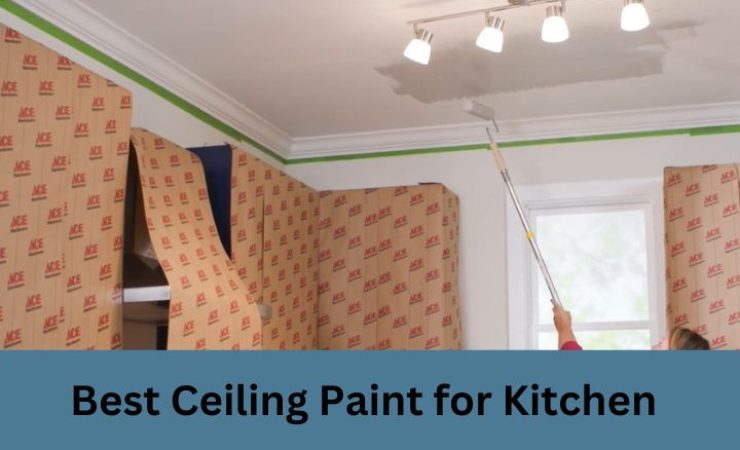 The 12 Best Ceiling Paint for Kitchen [Reviews & Buying Guide]
