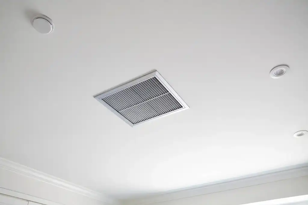 Best Mold Resistant Kitchen Ceiling Paint
